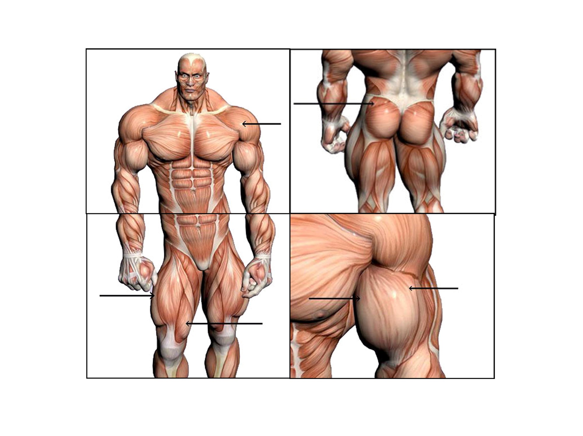 anabolicsideeffects2