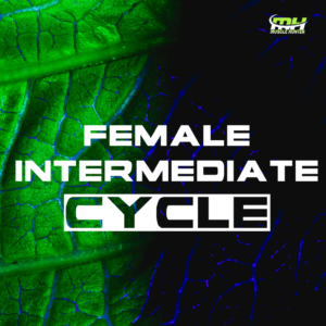 Female-Intermediate-cycle