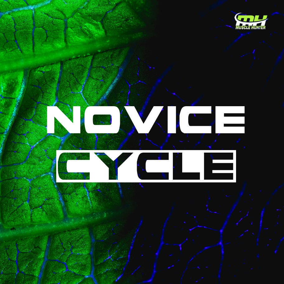 novice-cycle